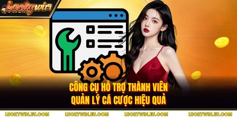 Công cụ hỗ trợ thành viên quản lý cá cược hiệu quả
